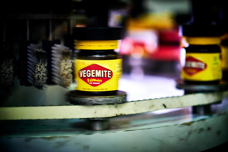 Pilz Machinery Safety Consulting in Australian Food Manufacturing – Bega Group Case