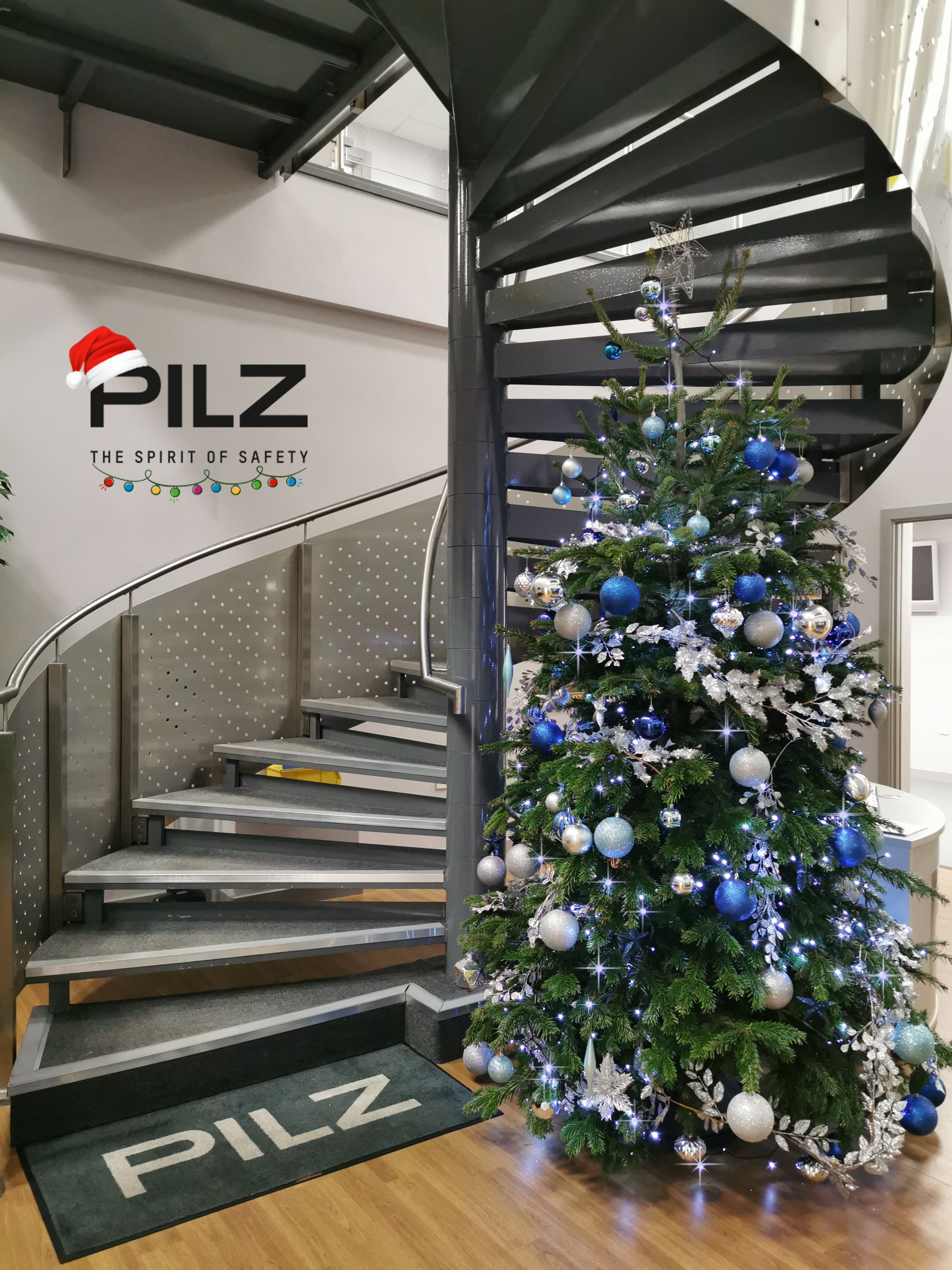 Christmas Tree Pilz UK