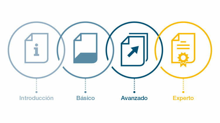 Concepto de cualificación