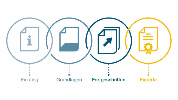 Internationales Qualifizierungsprogramm IQP