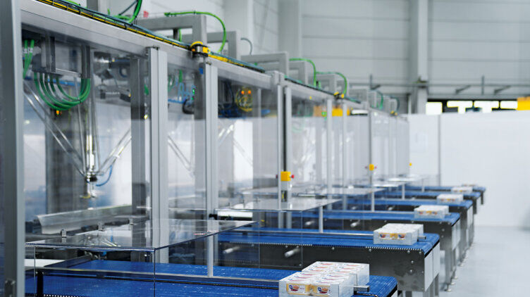 A+F repackaging system: cartons containing single-variety delicatessen salad bowls are fed in via six lateral roller conveyors. The mixed-sorted cartons are then repackaged in the system.