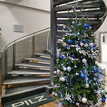 Pilz Christmas Tree