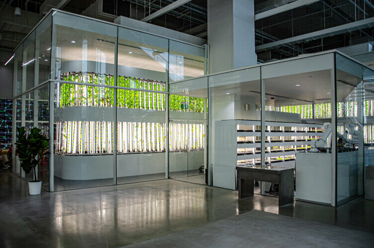 Smart Farm at Hyundai Motor Group Innovation Center Singapore (HMGICS)